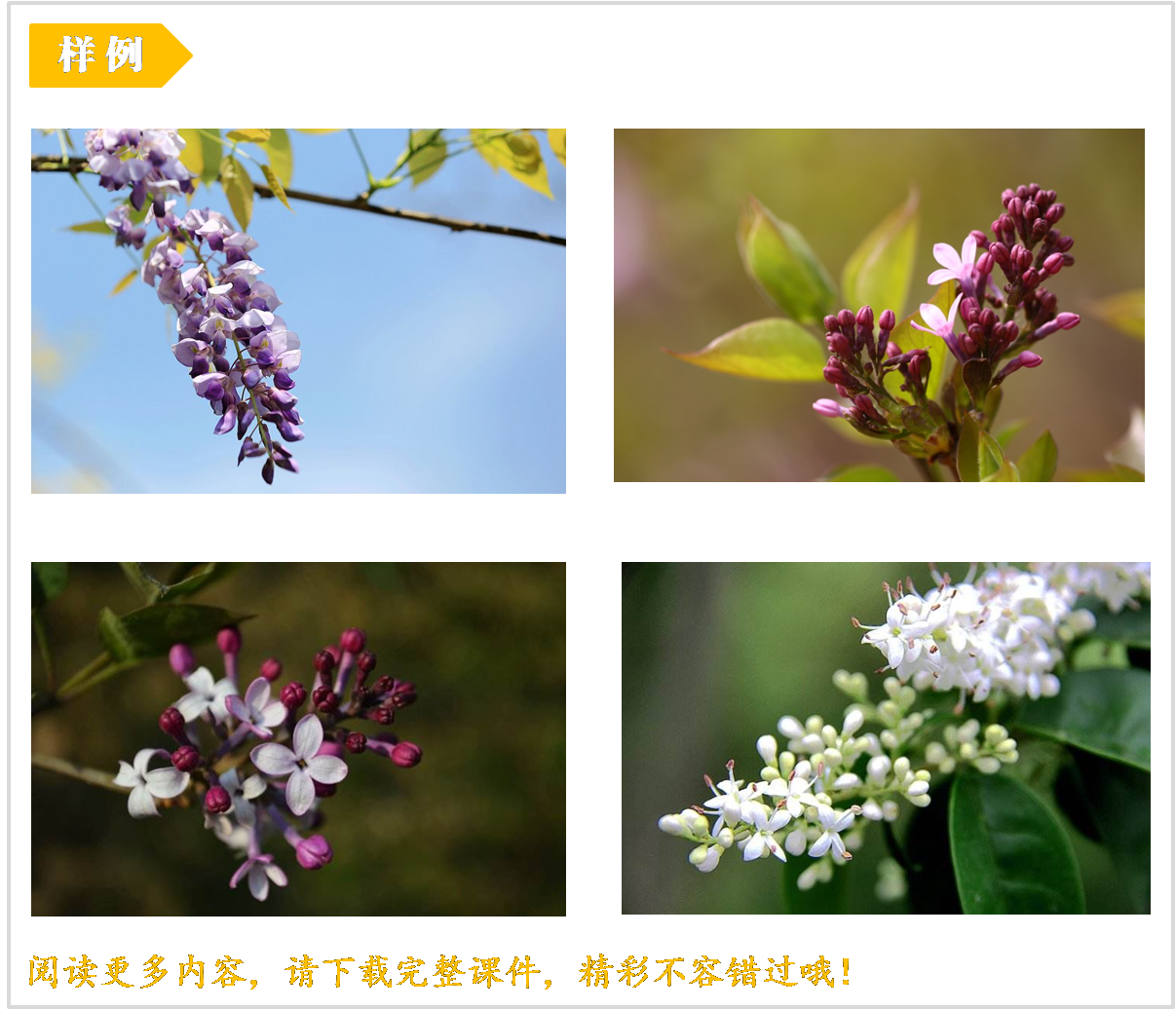 教学素材.png
