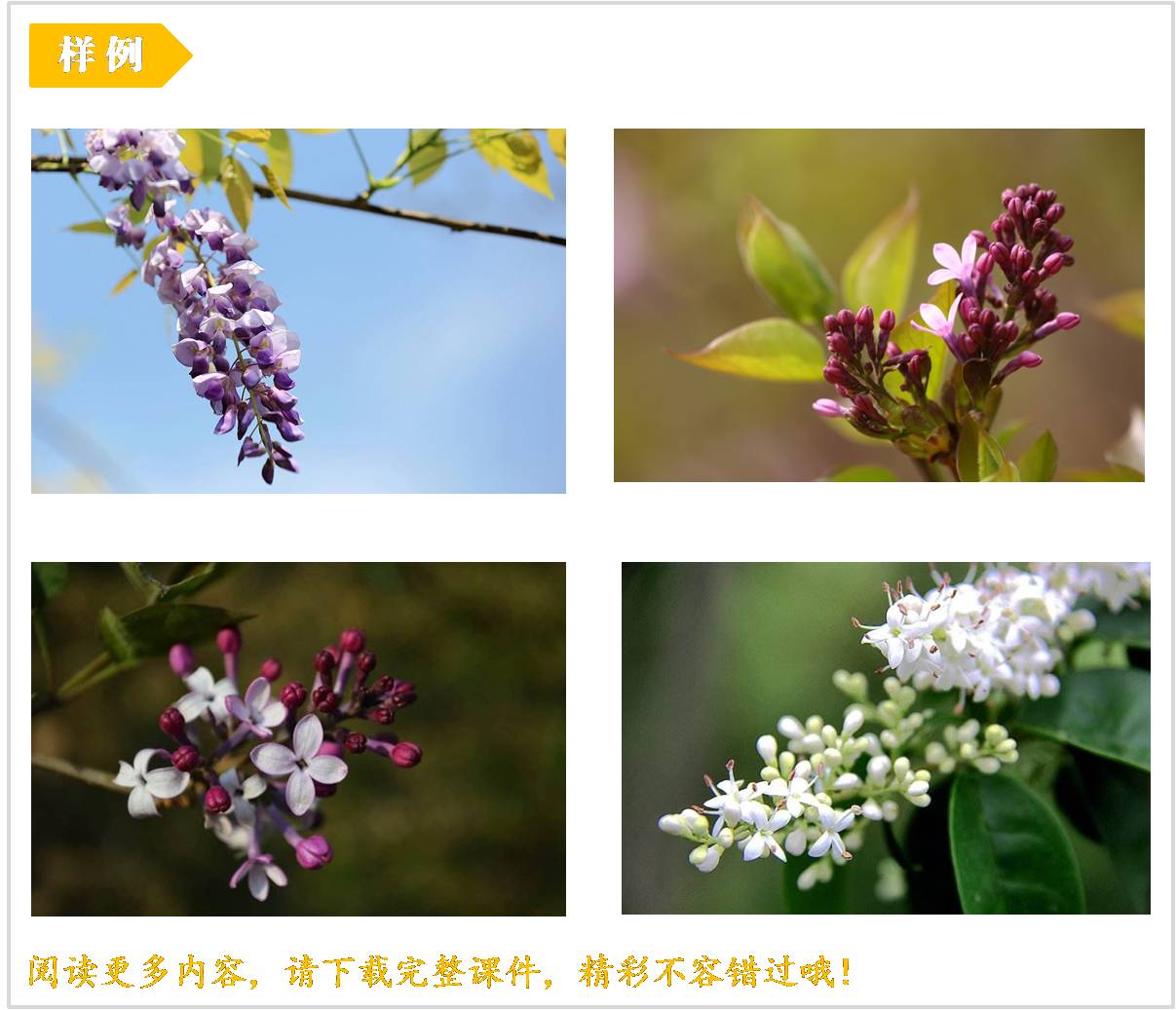 教学素材.jpg