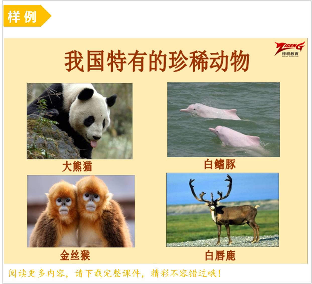SW教学课件.jpg