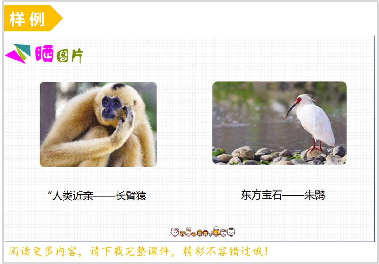 生物素养课件.jpg
