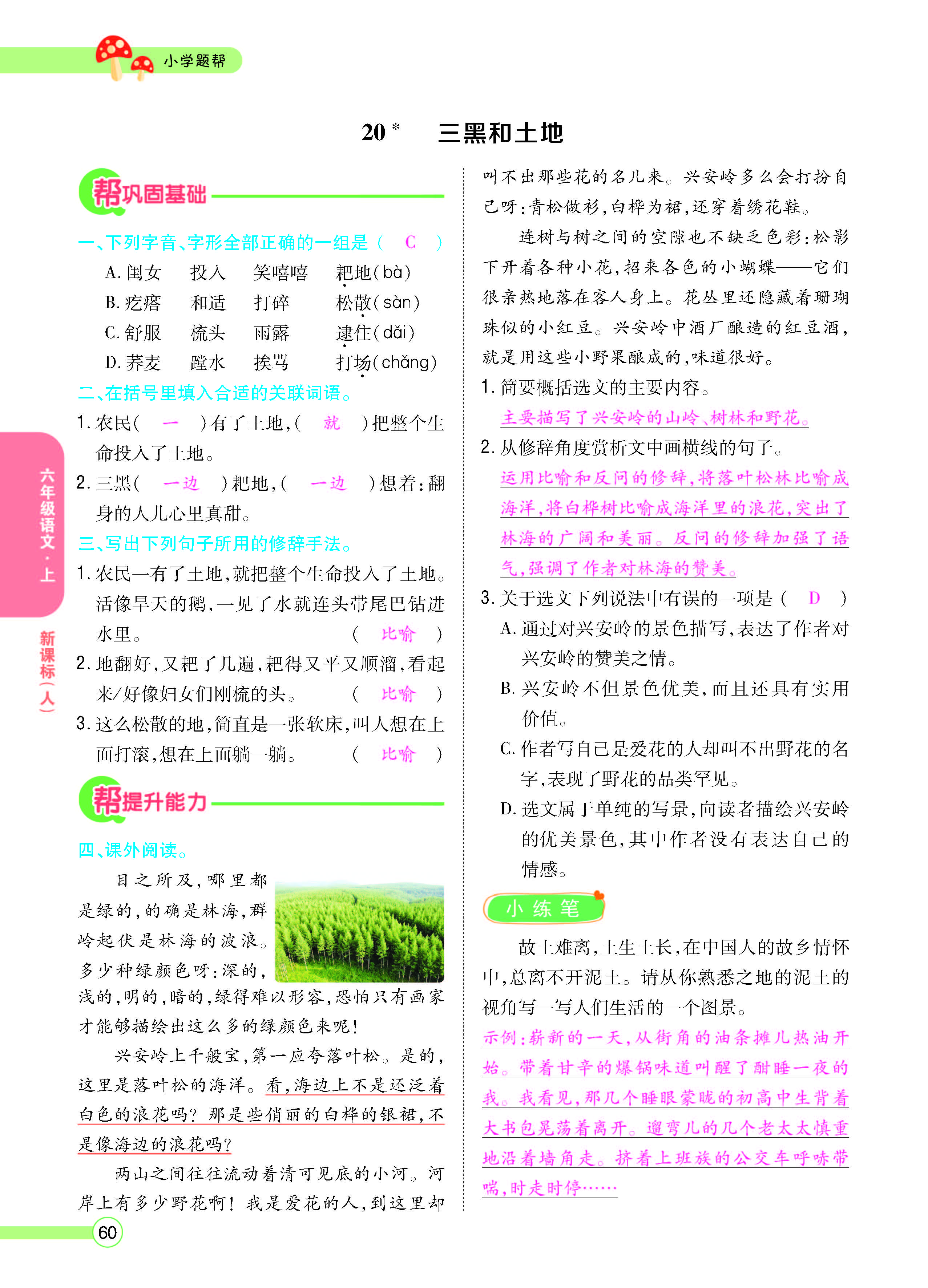 扫码对答案语文人教版六年级上_页面_062.jpg