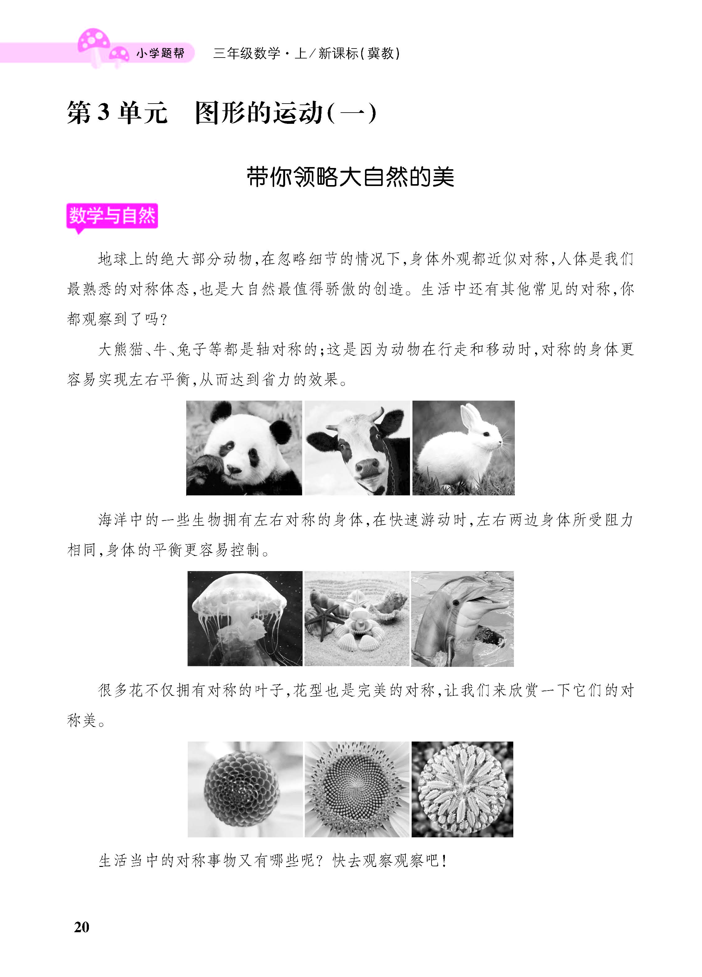 小册子_页面_20.jpg