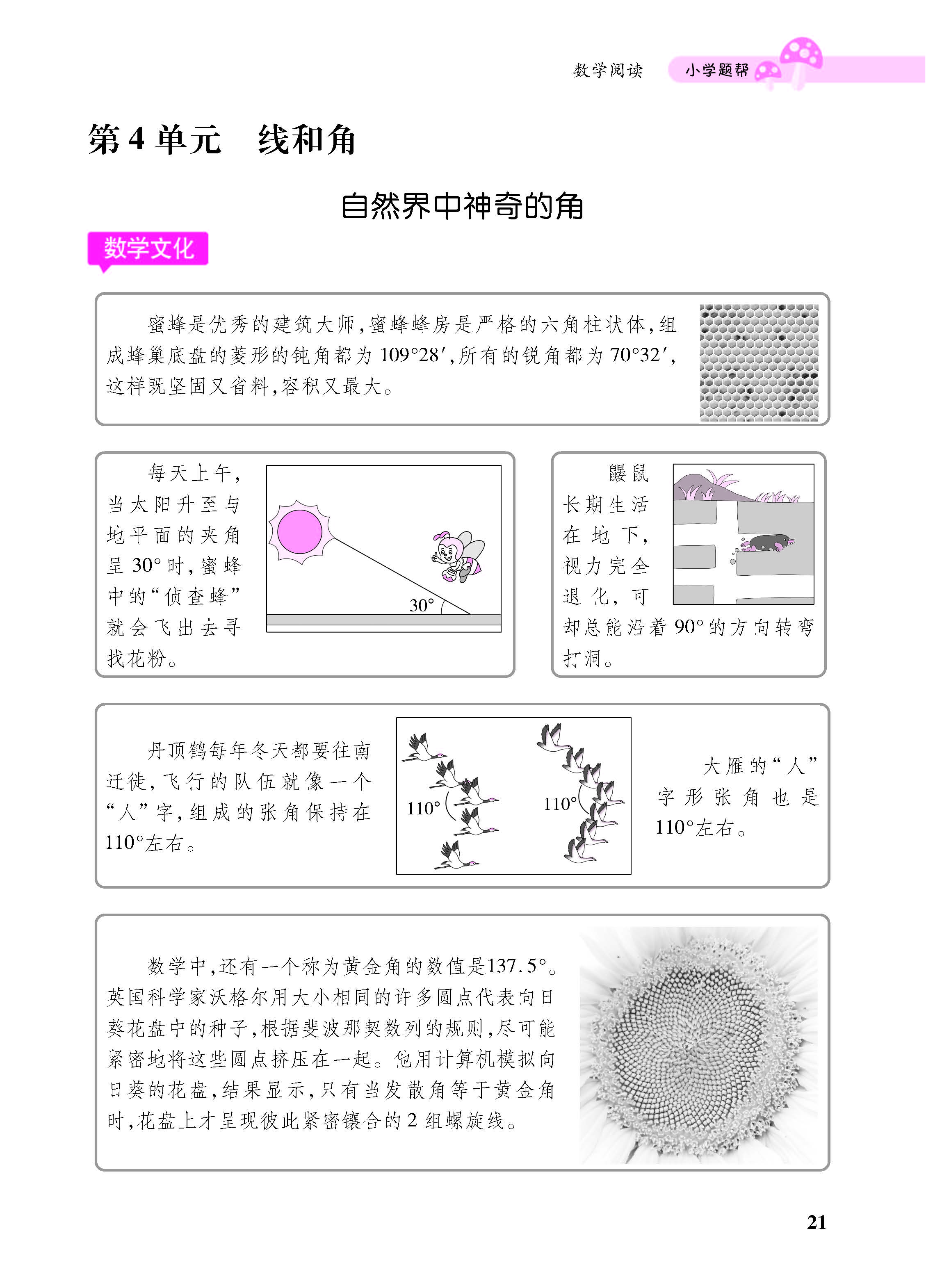 小册子_页面_21.jpg