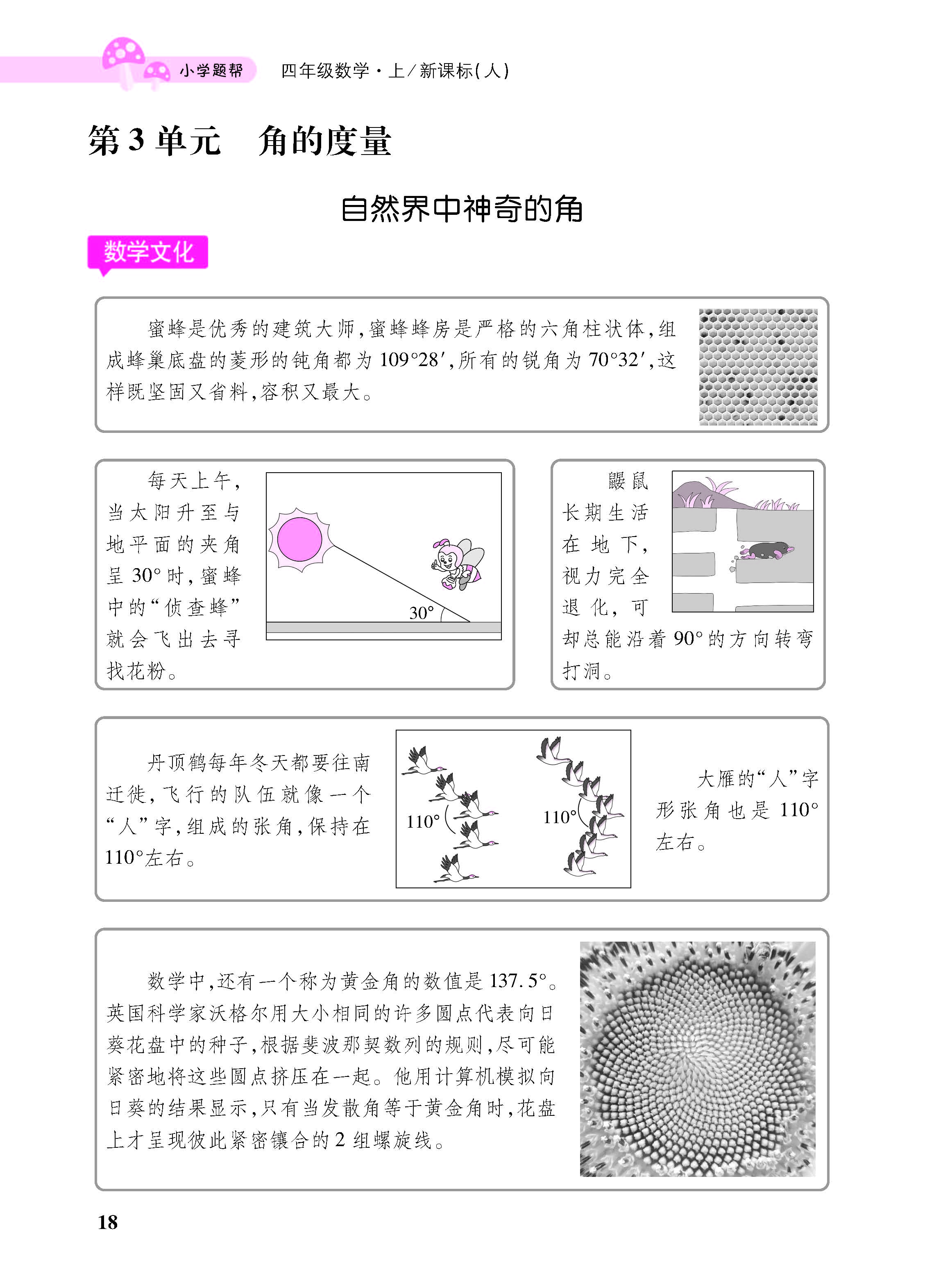 小册子_页面_18.jpg