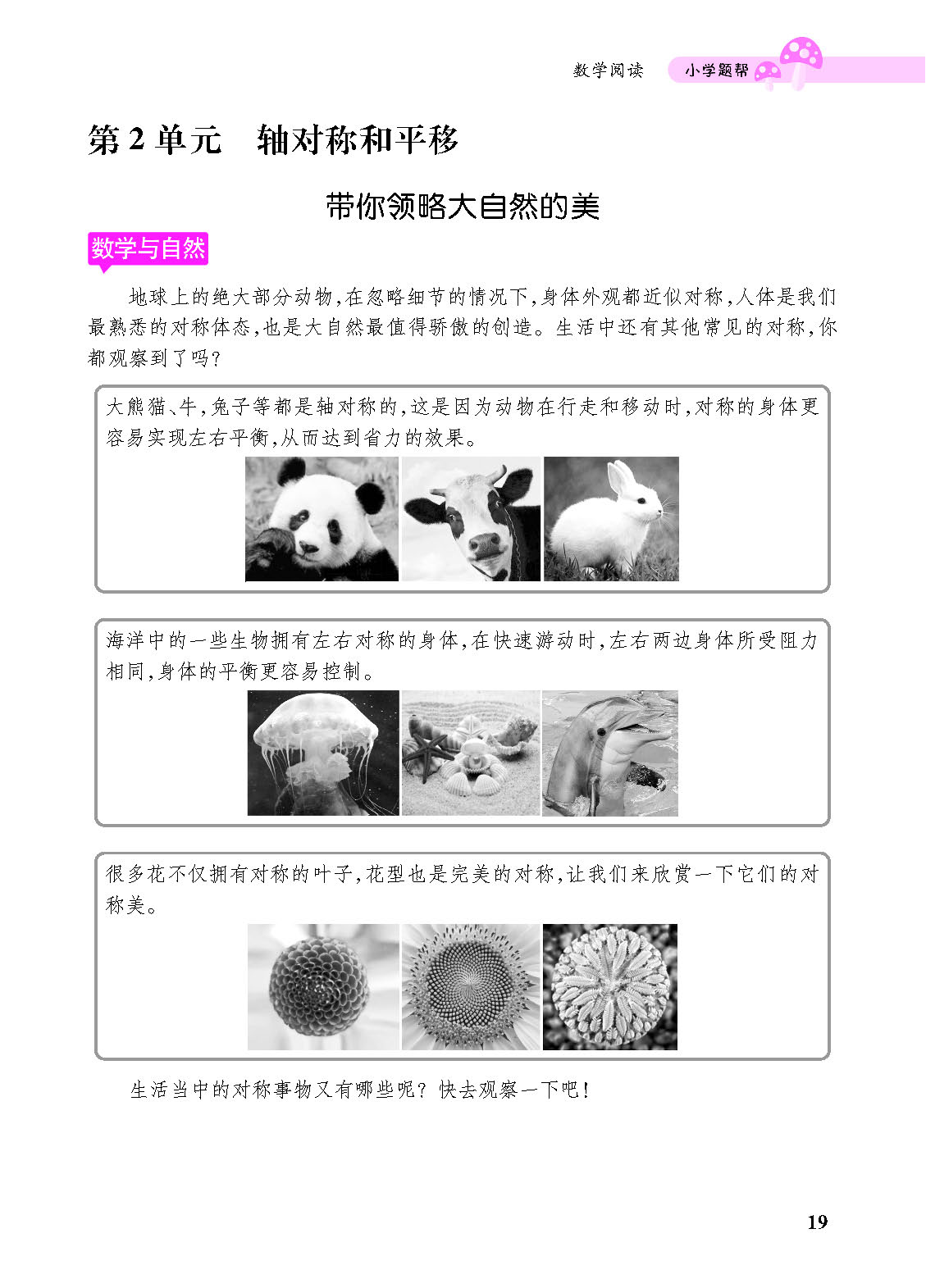 小册子_p0019.png