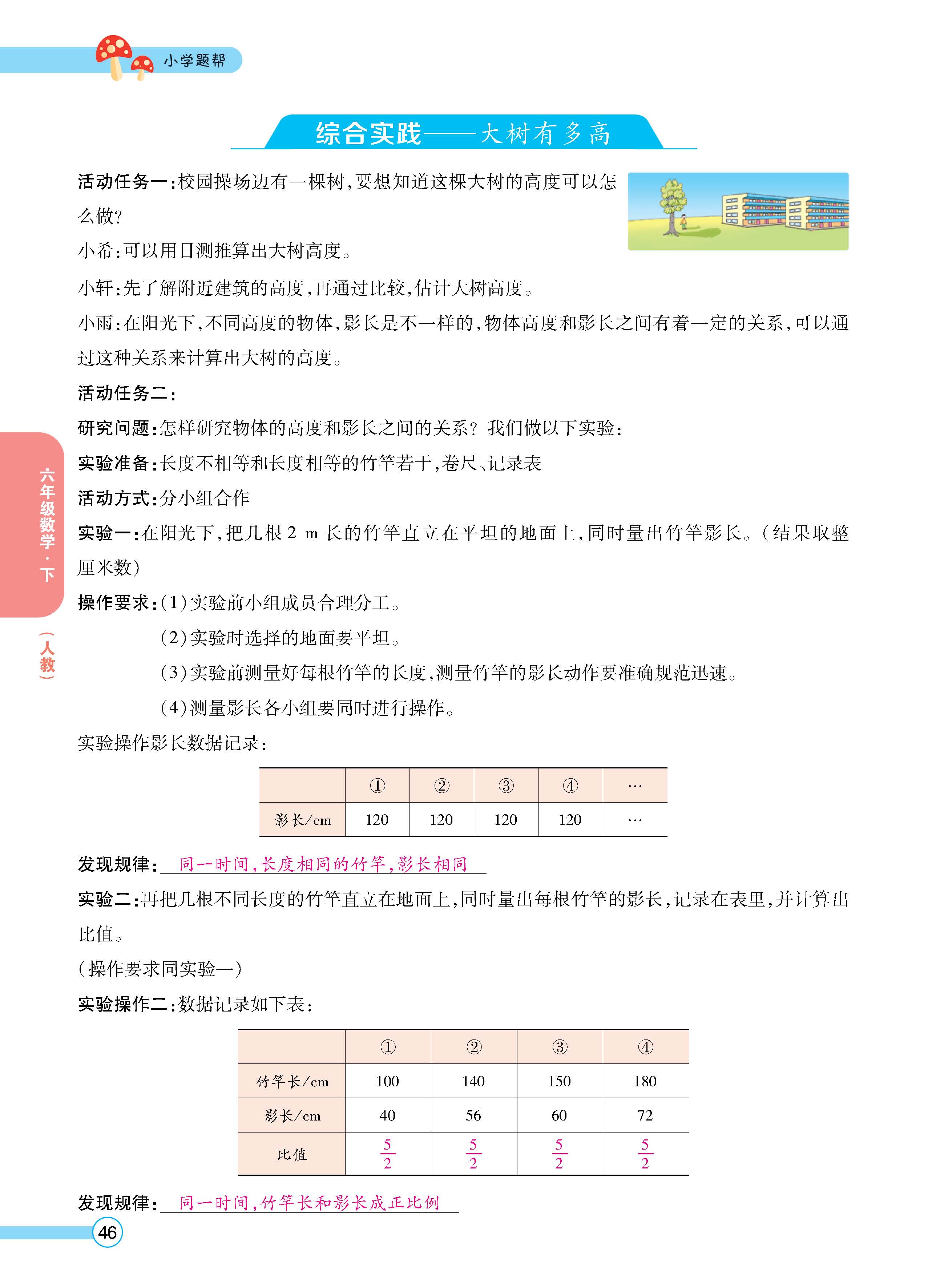 数人6下正文_页面_46.jpg
